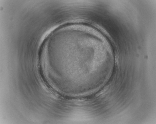 X0000074970724200609291937