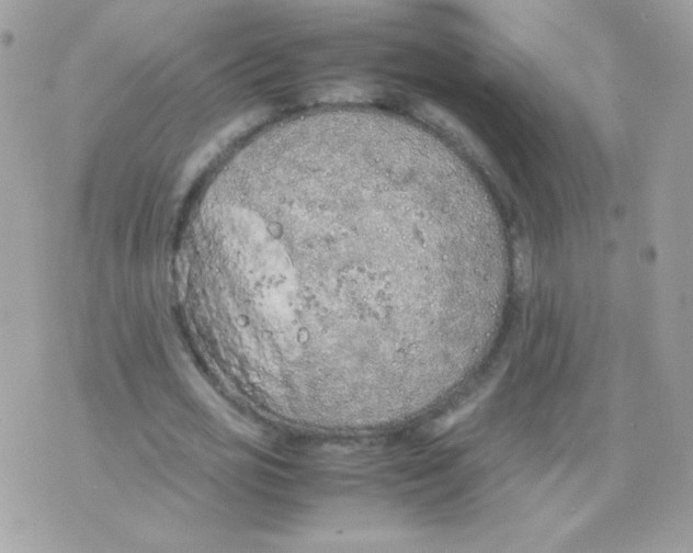 X0000074970725200609291937