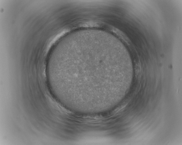 X0000074970727200609291937