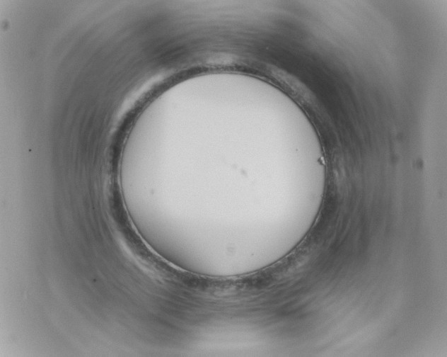 X0000074970728200609291937