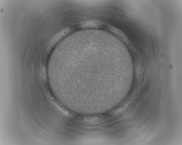 X0000074970729200609291937