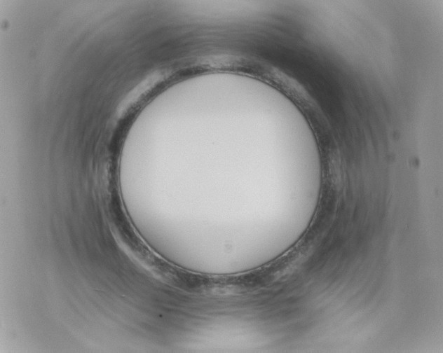 X0000074970730200609291937