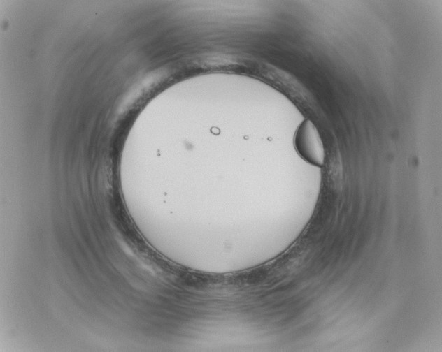 X0000074970732200609291937