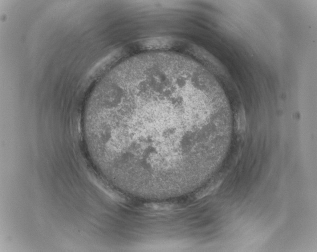 X0000074970733200609291937