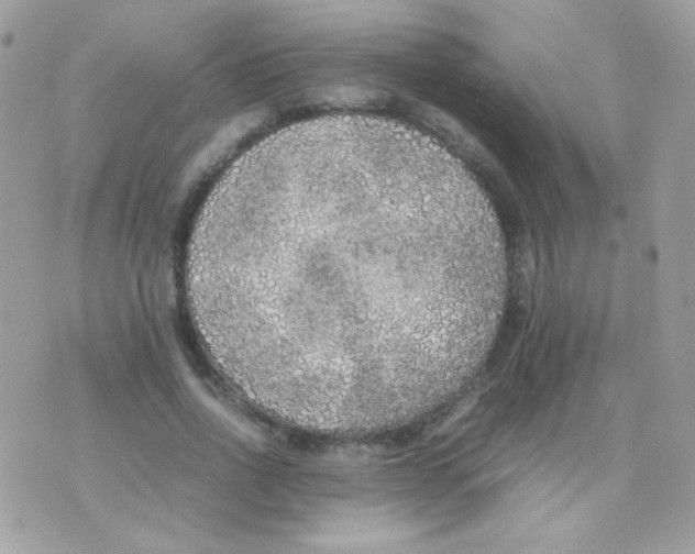 X0000074970734200609291937