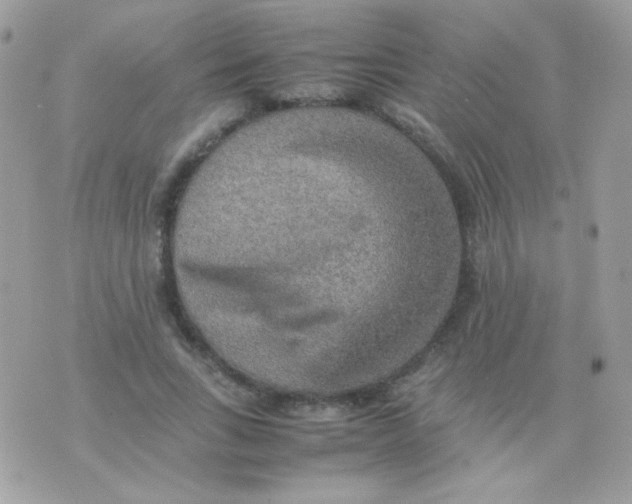 X0000074970735200609291937