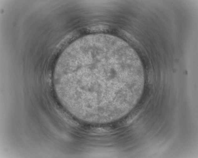 X0000074970737200609291937