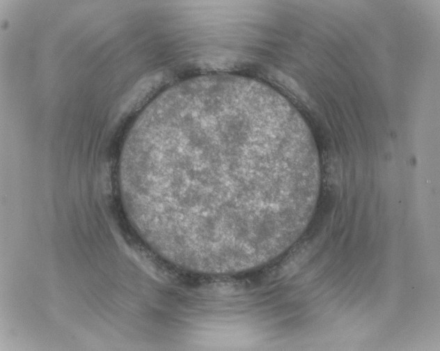 X0000074970738200609291937