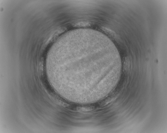 X0000074970739200609291937