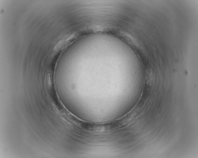 X0000074970740200609291937