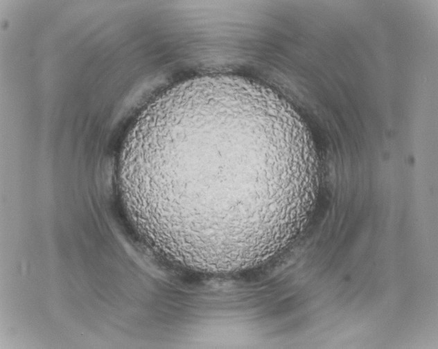 X0000074970742200609291937