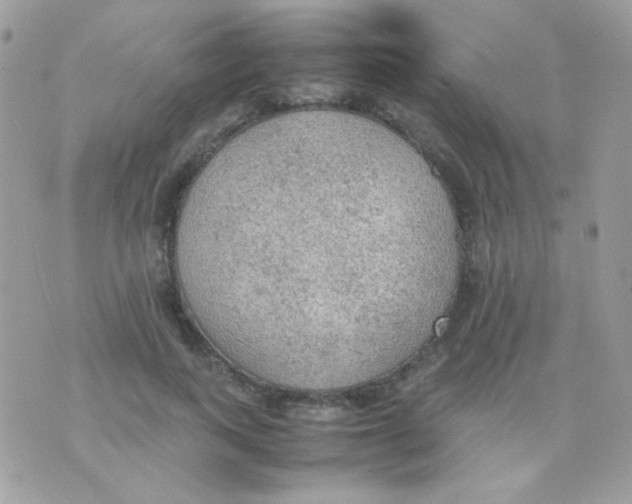 X0000074970743200609291937