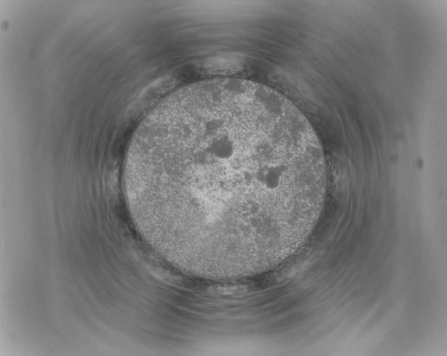 X0000074970745200609291937