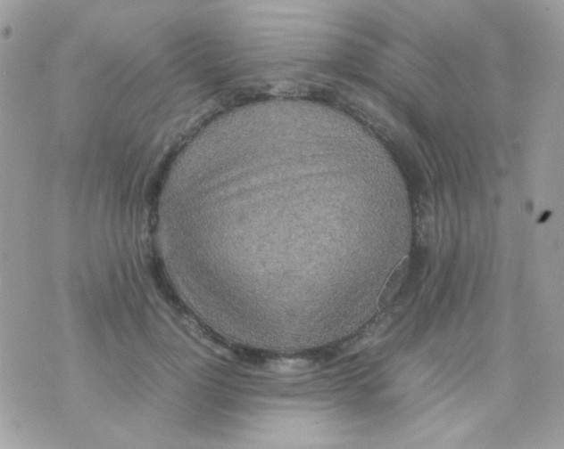 X0000074970748200609291937