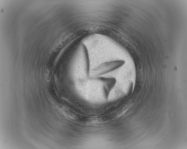 X0000074970750200609291938