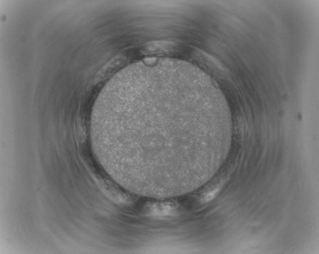 X0000074970751200609291938