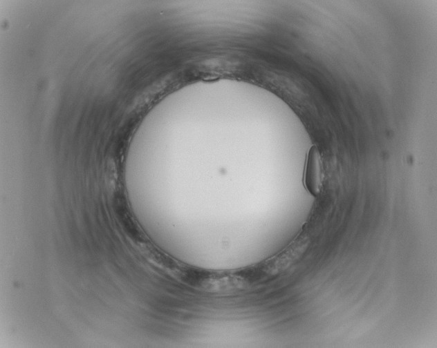 X0000074970752200609291938