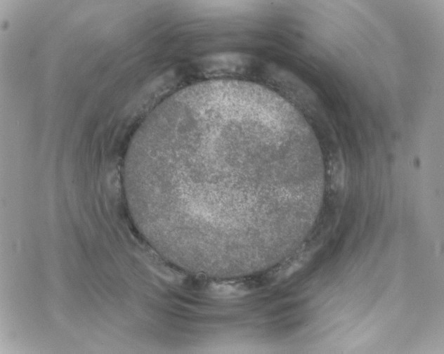 X0000074970753200609291938