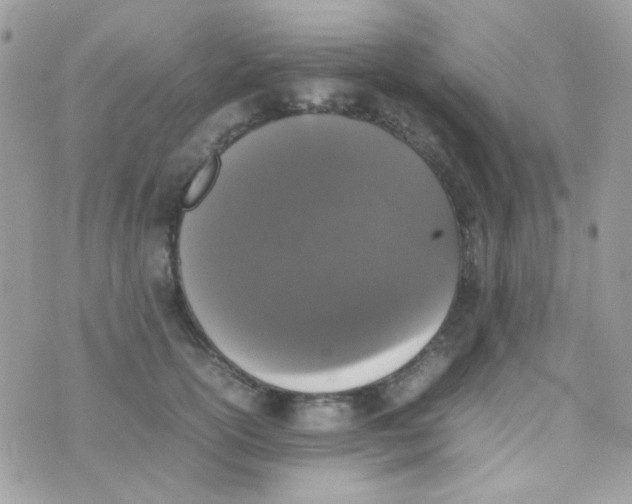 X0000074970754200609291938