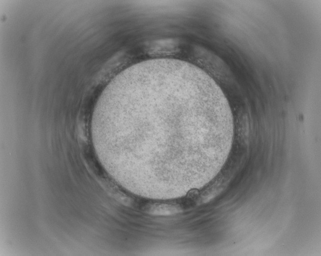 X0000074970755200609291938