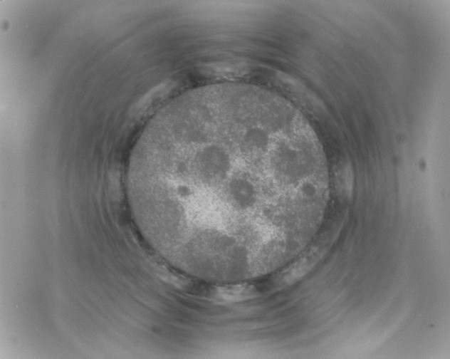 X0000074970757200609291938