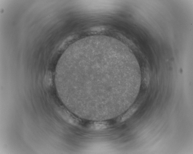 X0000074970758200609291938