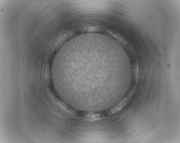 X0000074970760200609291938