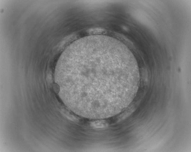 X0000074970761200609291938