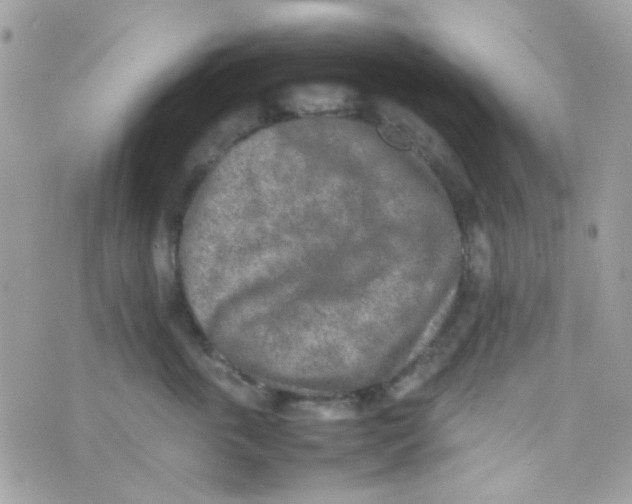 X0000074970763200609291938