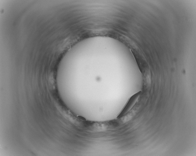 X0000074970764200609291938