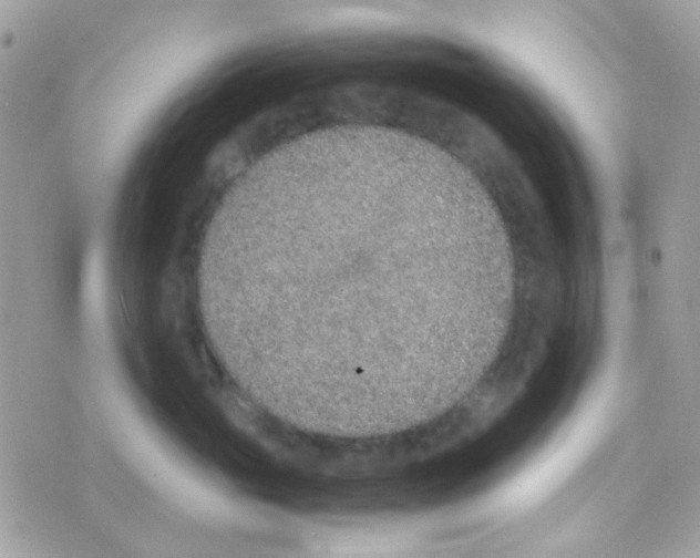 X0000074970765200609291938