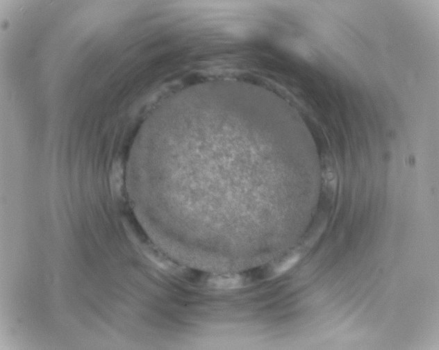 X0000074970767200609291938