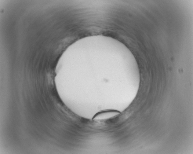 X0000074970768200609291938