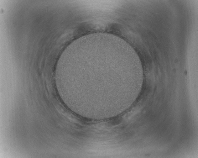 X0000074970769200609291937