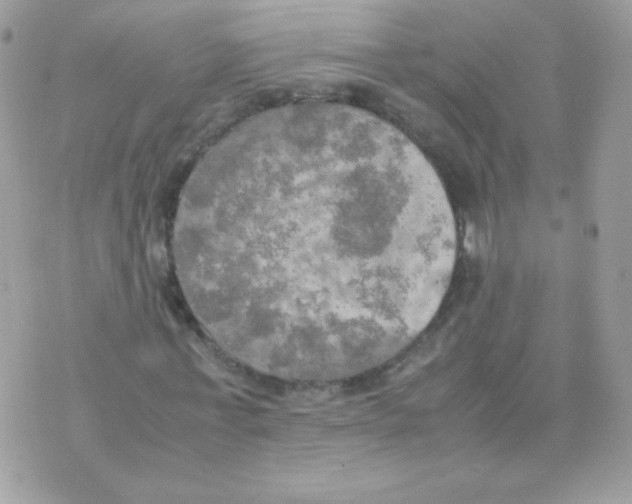 X0000074970771200609291937