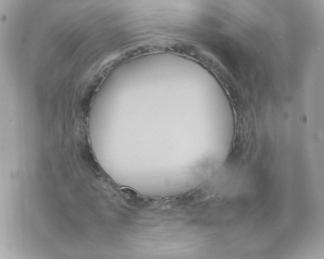 X0000074970773200609291937