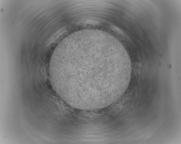 X0000074970774200609291937