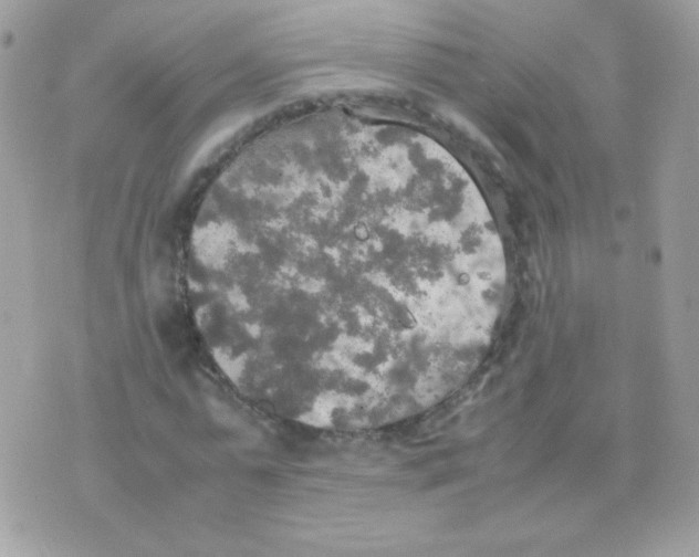 X0000074970775200609291937