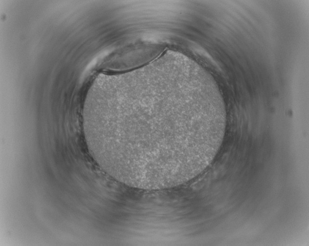 X0000074970776200609291937