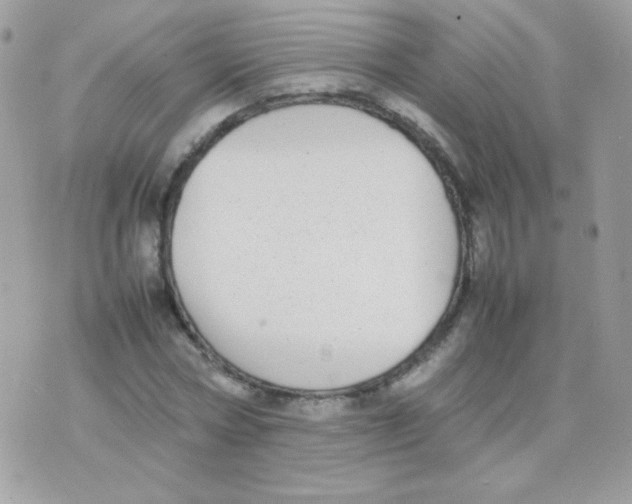 X0000074970778200609291937