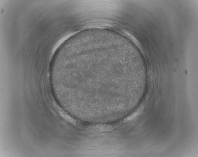 X0000074970779200609291937