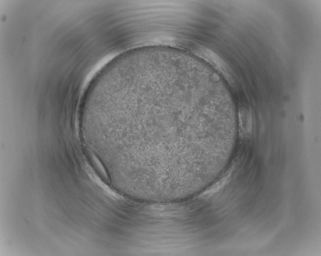 X0000074970780200609291937