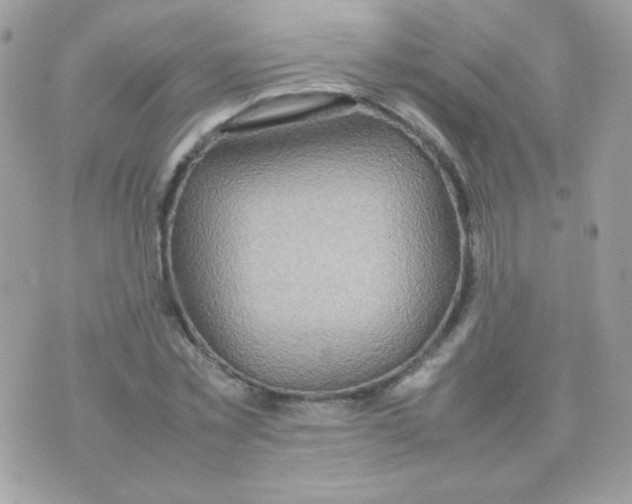 X0000074970781200609291937