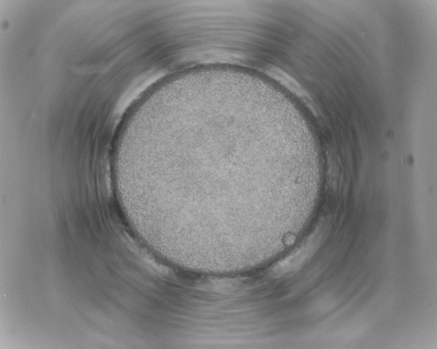 X0000074970782200609291937