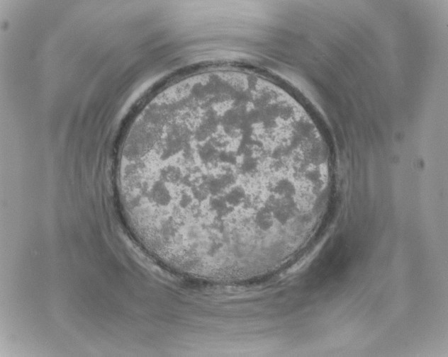 X0000074970783200609291937