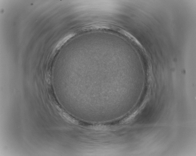 X0000074970785200609291937