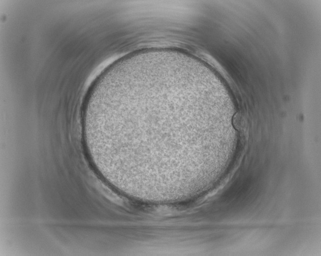 X0000074970787200609291937