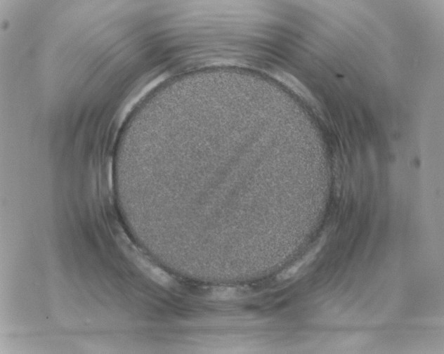 X0000074970790200609291937