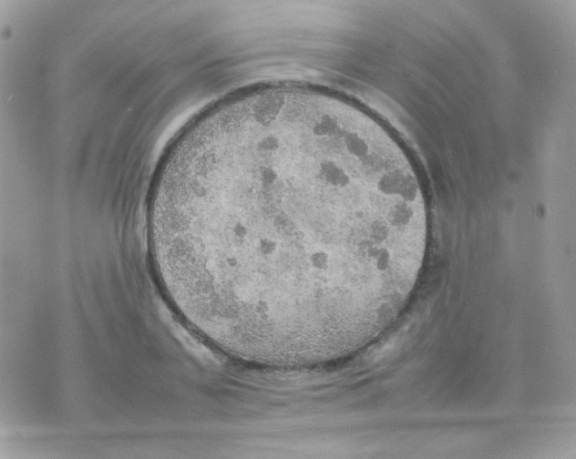 X0000074970791200609291937