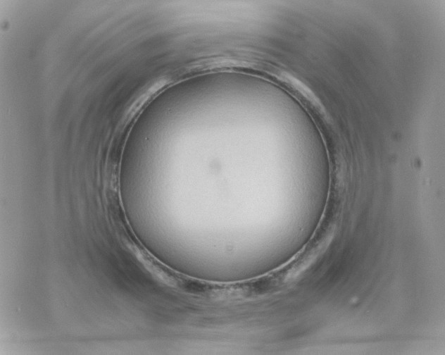 X0000074970793200609291937